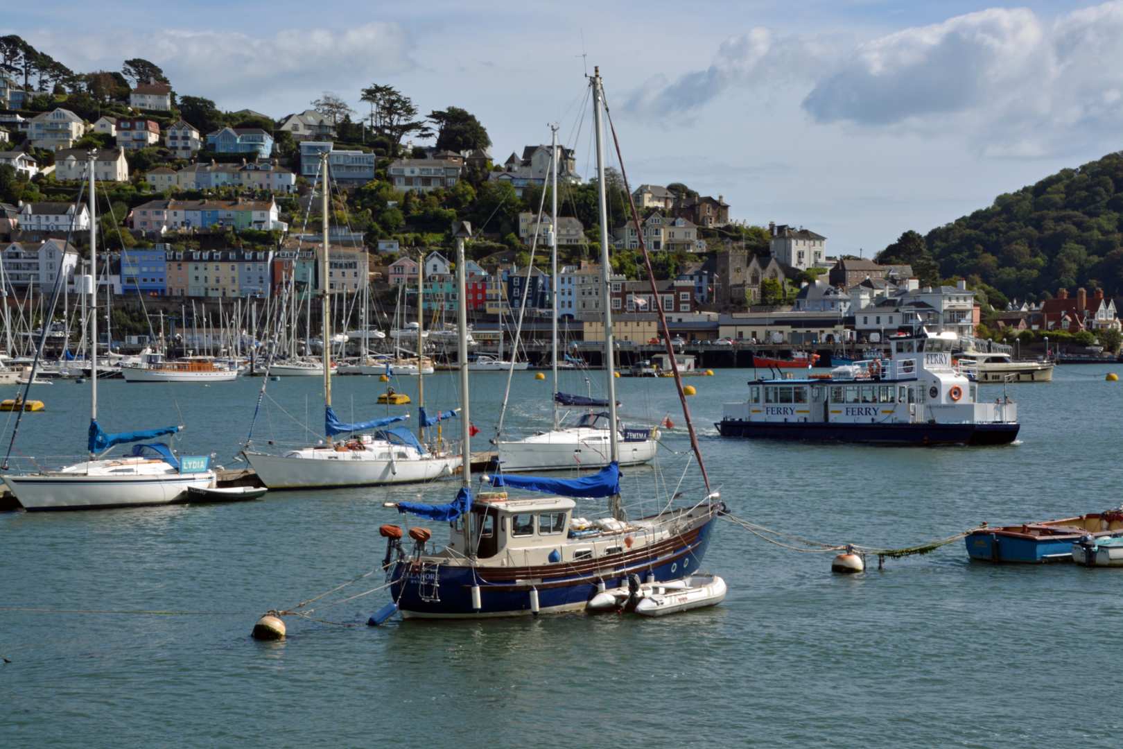 SWCP South Devon - Dartmouth Marina - Bob Parkinson - Landscape.jpg